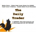Walter Peters - FXJake Daily Trader (Enjoy Free BONUS Trade Forex 13 Patterns - Golden Ratios Secret Revealed)